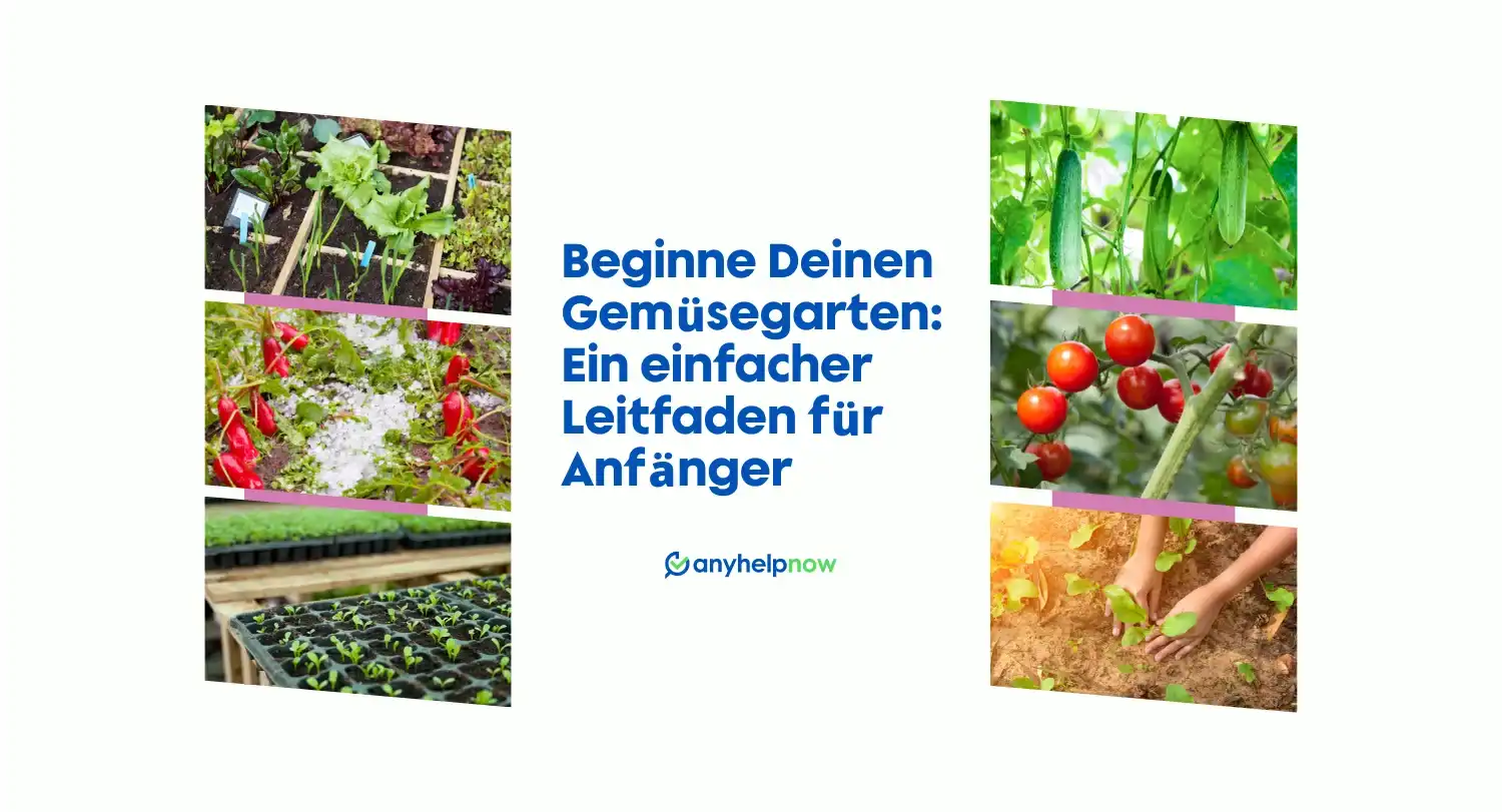 Start Your Vegetable Garden: An Easy Guide for Beginners
