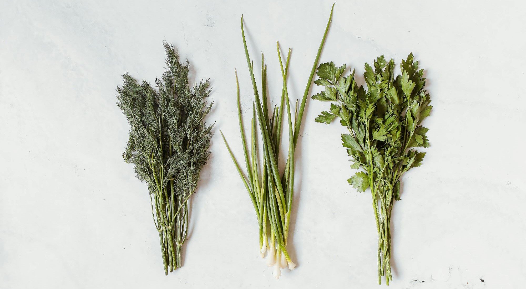 The Top 10 Herbs You Should Have in Your Garden