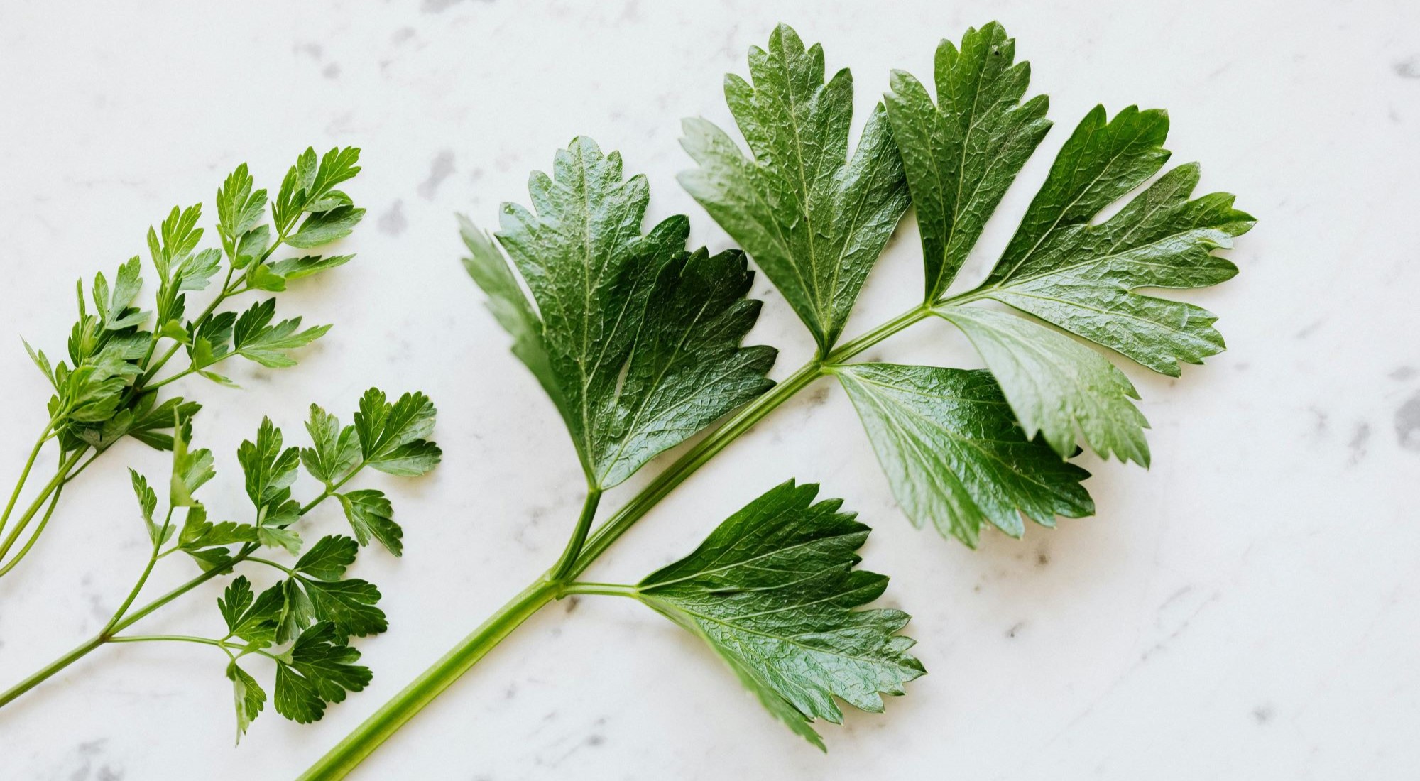 Parsley