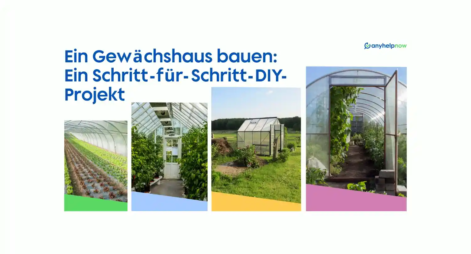 Building a Greenhouse: Step-by-Step DIY Project