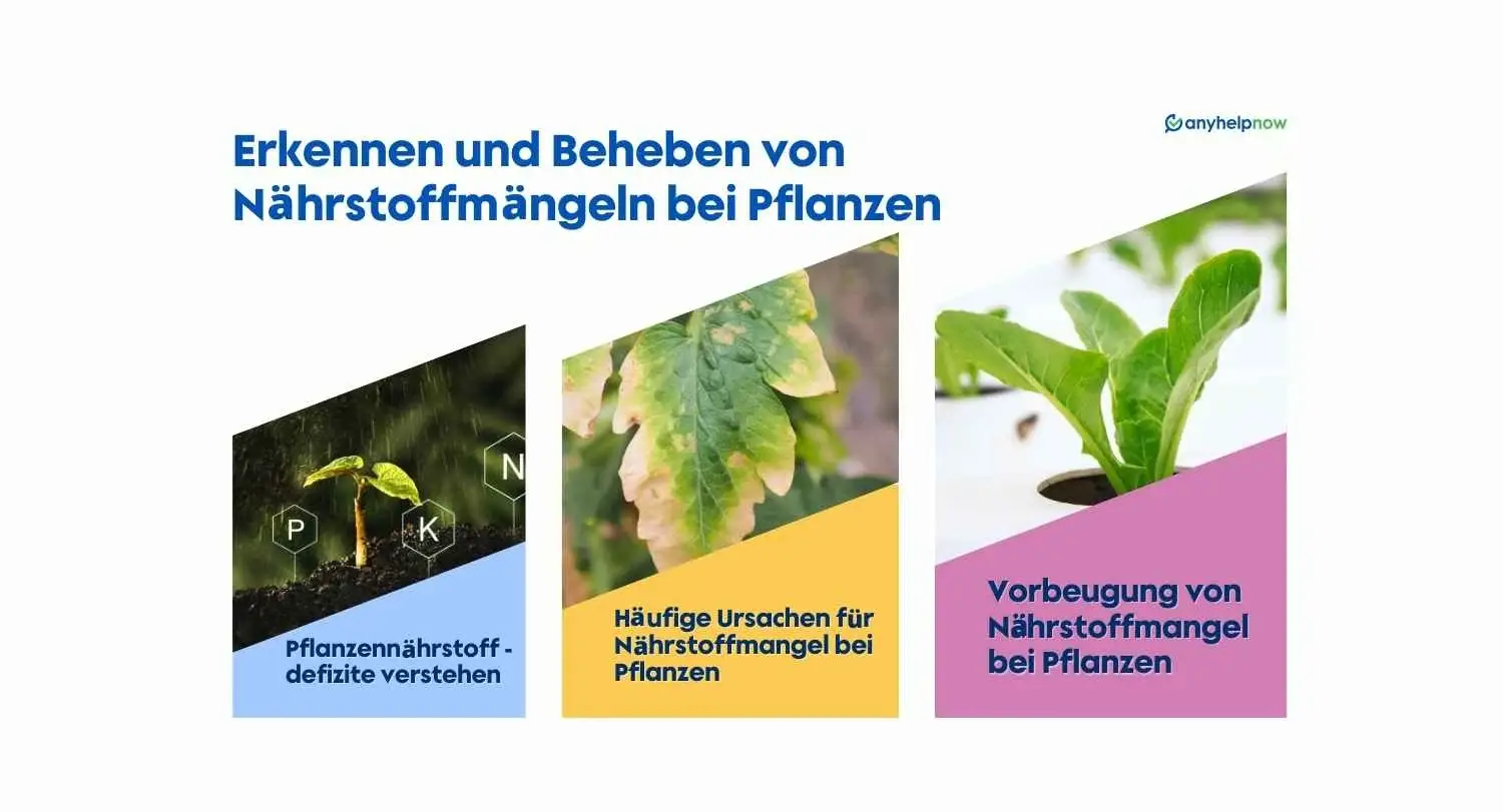 Erkennen und Beheben von Nährstoffmängeln bei Pflanzen