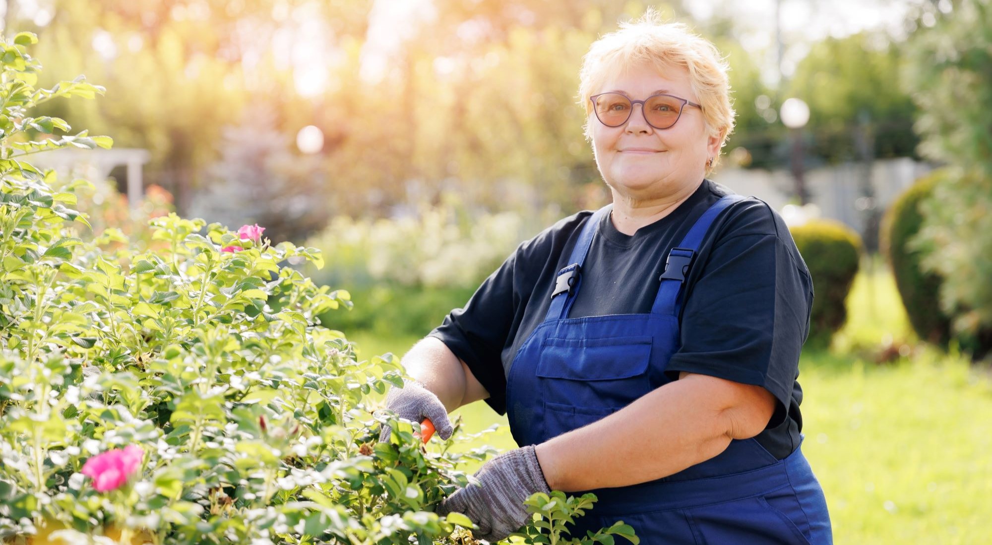 eine ältere Dame kümmert sich um ihre Hecke