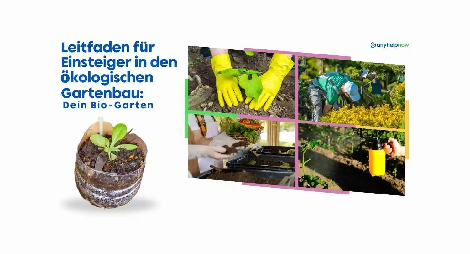 Leitfaden für Einsteiger in den ökologischen Gartenbau: Dein Bio-Garten