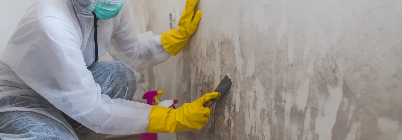 Schimmel an der Wand entfernen: Sichere Methoden & Hausmittel