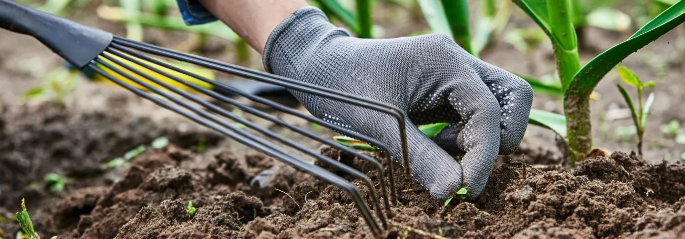 Unkraut entfernen: 7 umweltfreundliche Methoden für dauerhaften Erfolg
