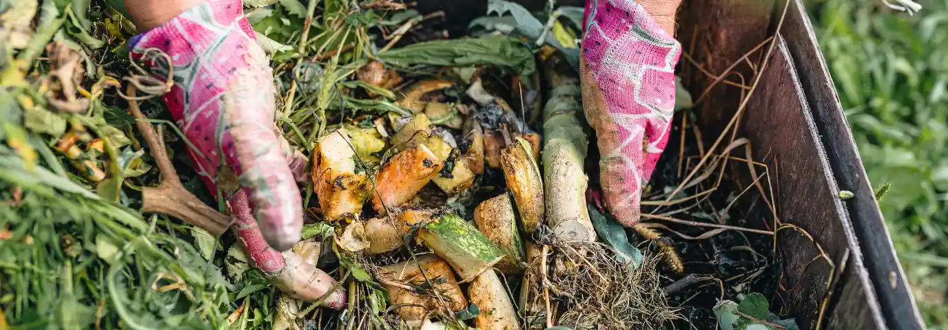 Kompostieren im Garten lernen: Schritt-für-Schritt Anleitung für Anfänger