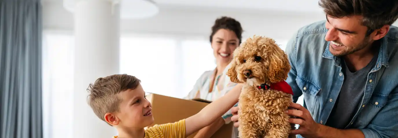 Umzug mit Haustieren planen: Stressfreier Umzug für Hund & Katze