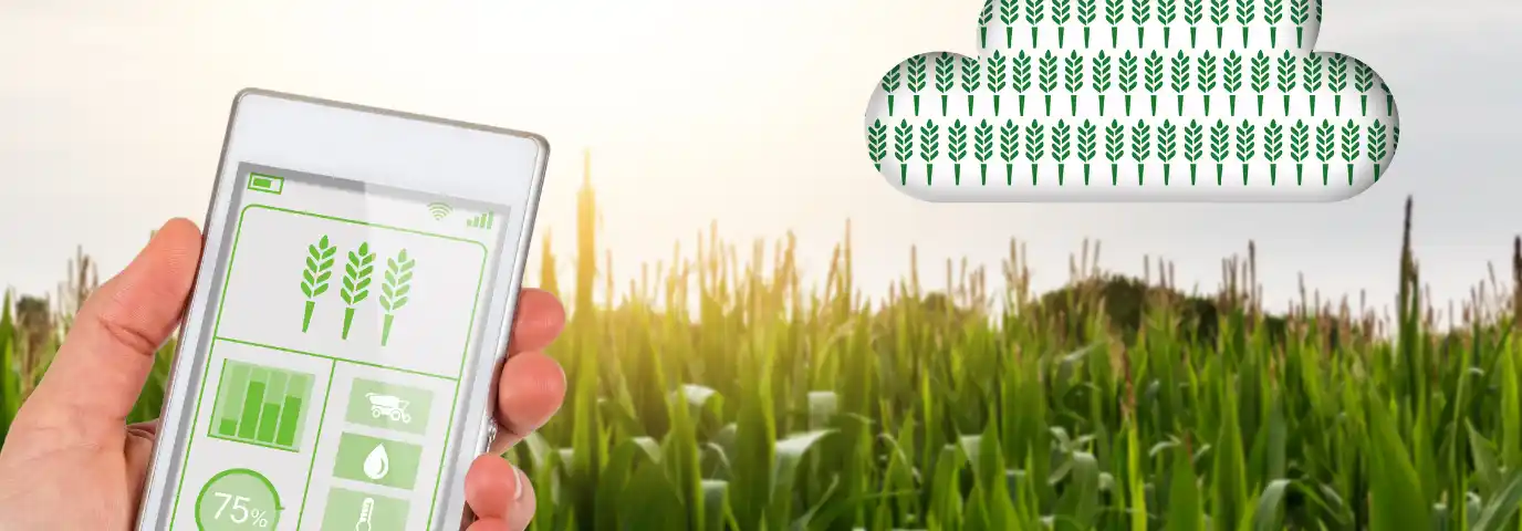 Beste Pflanzen App 2025: Top 7 Apps für perfekte Pflanzenpflege