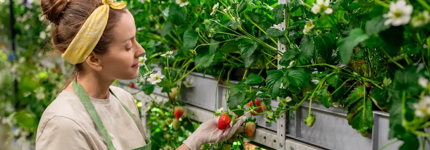 Vertical Farming Zuhause: Frische Kräuter & Gemüse das ganze Jahr