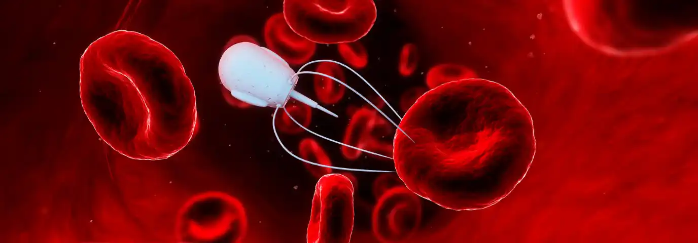 Nanoroboter Medizin Zukunft: Aktuelle Forschung & Realistische Perspektiven