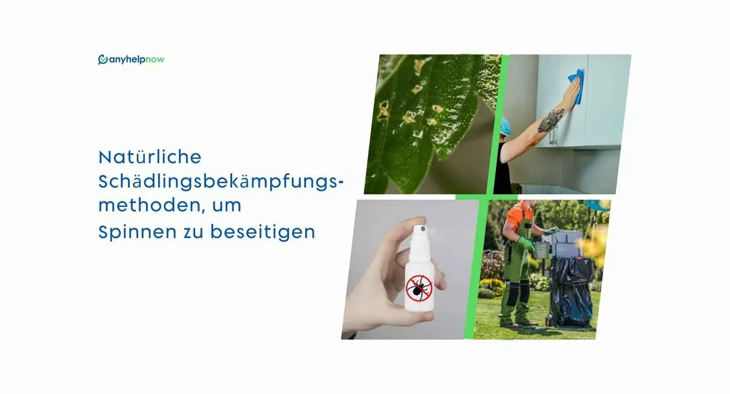 Natural Pest Control Methods to Get Rid of Spiders Natural Pest Control Methods to Get Rid of Spiders
